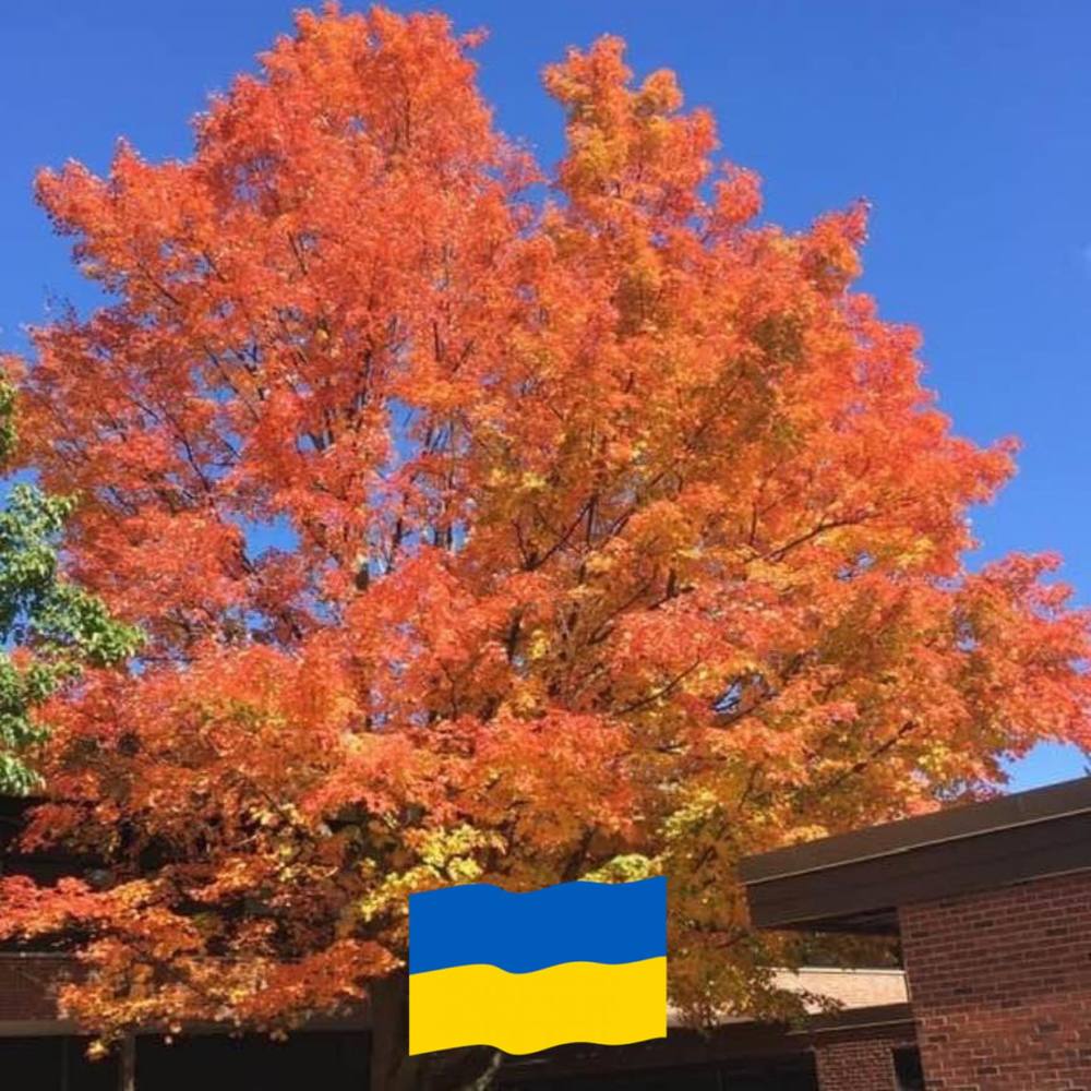 Meet your Posher, Valerie